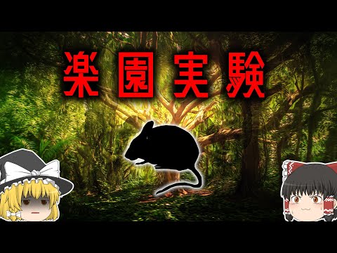 ウロミスについて詳しく解説