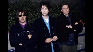 What Are You Going to Do With Your Life? - Echo &amp; the Bunnymen, live at the House of Blues 1999