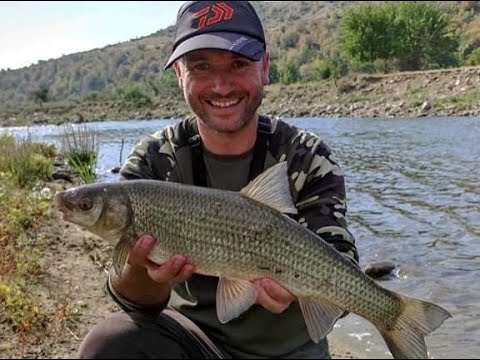 Pecanje Skobalja na plovak (Fisch Die Nase) Pecanje na hleb