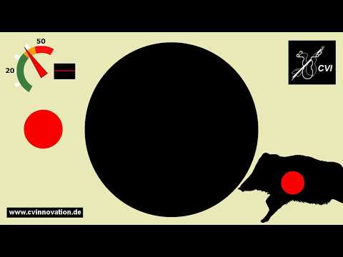 DPST - Treffen mit der Dreipunktschießtechnik - Treibjagd - Drückjagd - Saujagd - Erntejagd