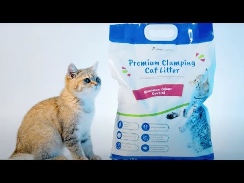 AllPetSolutions Clumping Maximum Odour Control Cat Litter