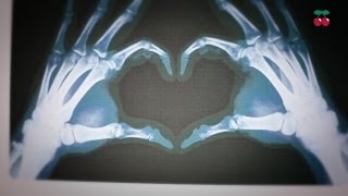 Housepital  Pacha Ibiza Winter 2013