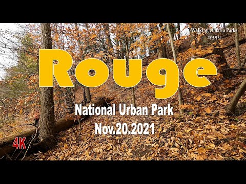[4K] Rouge National Urban Park, #1 [2021.11.20]