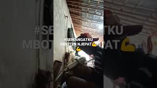 Download lagu #SEMANGAT LAN MBOTEN NJEPAT 💪💪 mp3 Download lagu #SEMANGAT LAN MBOTEN NJEPAT 💪💪 mp3