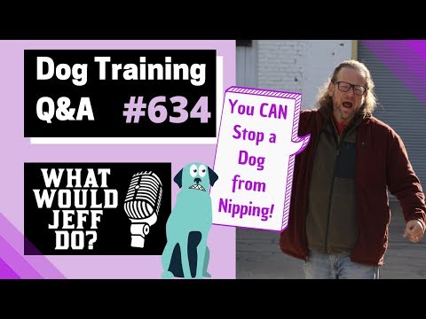 Dog Training - Dog Hackles - Stop Dog Nipping - What Would Jeff Do? Q&A  Ep.634 (2020)