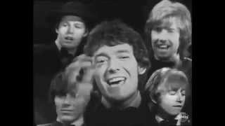 THE HOLLIES   &#39;Do The Best You Can&#39; Official HQ    © 1968 RBTV