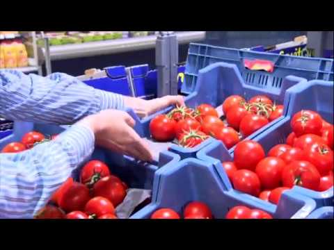 Видео компании Greenpack