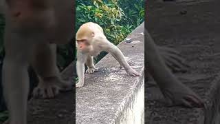 Download lagu #youtubeshorts #ytshorts bokeh full frame asli bokeh full frame asli 1 jam mp3 Download lagu #youtubeshorts #ytshorts bokeh full frame asli bokeh full frame asli 1 jam mp3