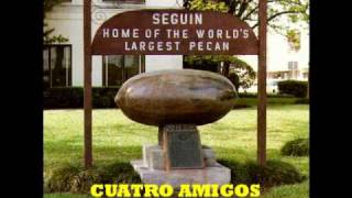 Cuatro Amigos (LIVE) - Viva Seguin Polka
