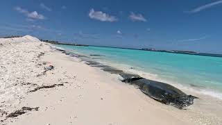 Gulhi Island — a beautiful, budget-friendly island in the South Malé Atoll July 6, 2025