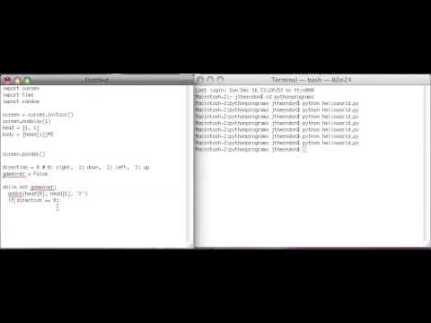 Python Curses Snake Tutorial 1: Borders and Movement (part 1)
