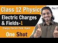 Electric Charges And Fields Class 12 Part 1 Charge Electric Field Dipole One Shot