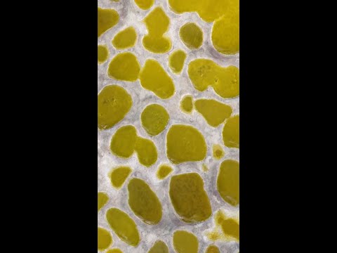 Canada's Spotted Lake is a geological wonder