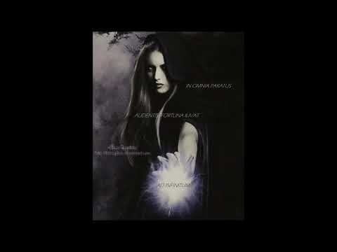 𝚃𝚑𝚎 𝙳𝚒𝚐𝚒𝚝𝚊𝚕 𝙱𝚕𝚘𝚗𝚍𝚎-(𝚍𝚊𝚛𝚔@𝚖𝚒𝚡)-𝙱𝚎𝚜𝚝 𝙾𝚏-𝙿𝚊𝚛𝚝 𝙸