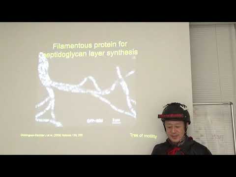 Lecture of Tree of Motility in English