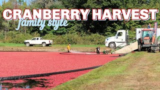 Harvesting Memories: Our Family's Cranberry Tradition in Wisconsin!