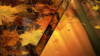 Download lagu Passenger - Golden Leaves mp3 Download lagu Passenger - Golden Leaves mp3