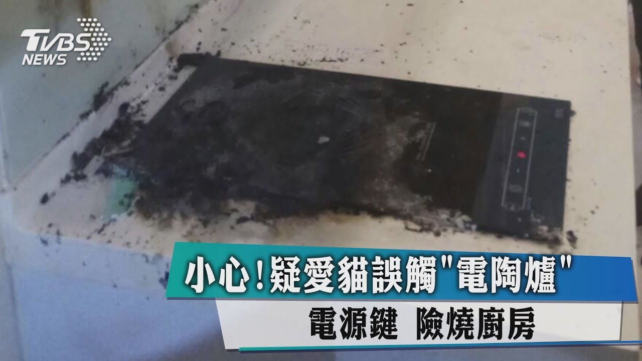 小心!疑愛貓誤觸電陶爐電源鍵 險燒廚房
