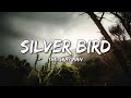 The Gray Man - Silver Bird (Lyrics) (Mark Lindsay) (Silver bird, fly my lady away)