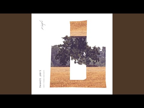 Pilni Vižņu Mani Mati