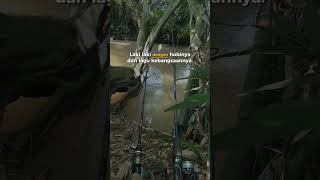 Download lagu story wa mancing #hobimancing #mancing #shorts #shortvideo #trending mp3