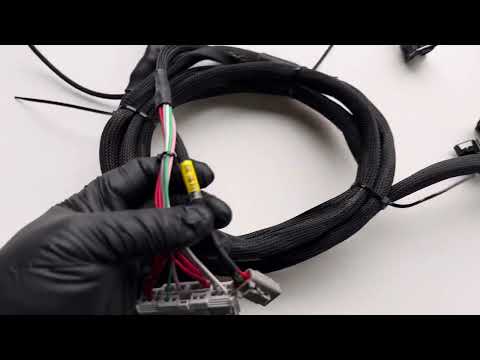 Fueltech FT450 Complete Engine Harness Overview K Series K20 K24