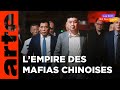 Naissance d'une pieuvre | Triades - La mafia chinoise à la conquête du monde (1/3) | ARTE