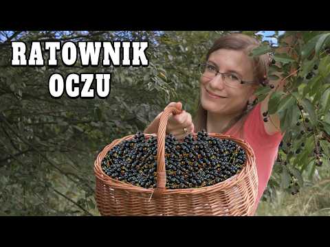 Naturalne i Sprawdzone Remedium Na OCZY