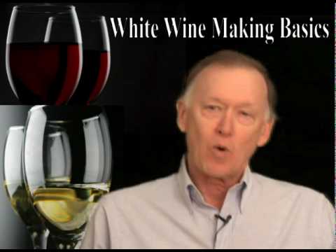 Basic White Wine Making