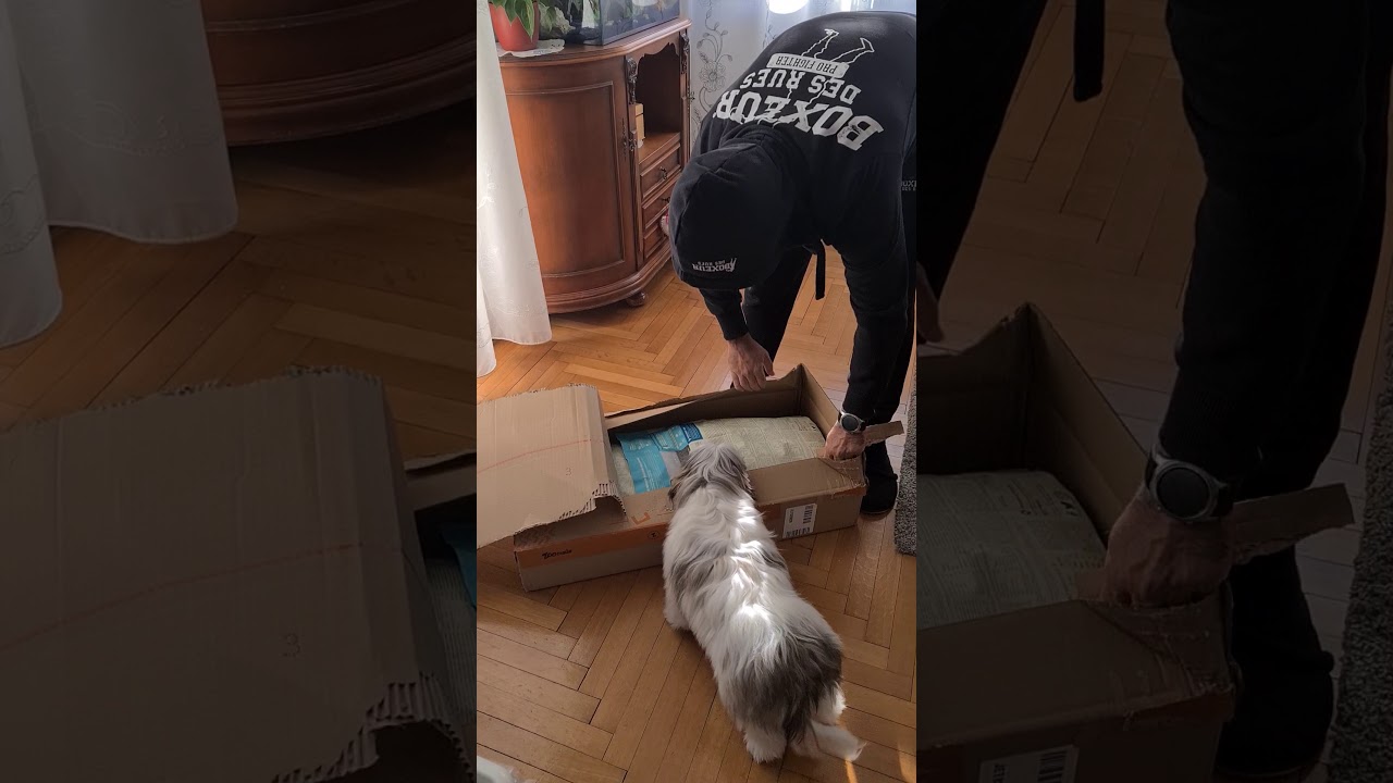 acana puppy small breed zoomalia