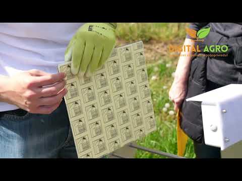 How to replace sticky plate - iScout Color Trap