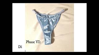 TF Girl is turned into a satin panties - Inanimate transformation story