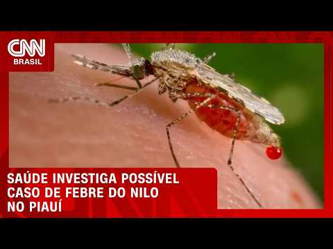 Ministério da Saúde investiga possível caso de Febre do Nilo no Piauí | CNN NOVO DIA