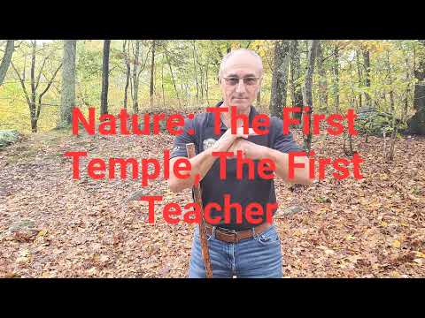 What Nature Can Teach You About Yourself