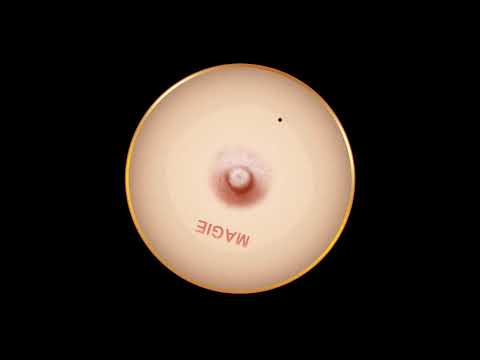 Tourette Roulette - Magie feat. Kent Archie