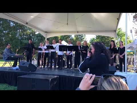 Shir Haemek Choir: Nigunim