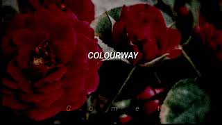 Colourway - Novo Amor (Sub. Español // Inglés) #NovoAmor #Colourway