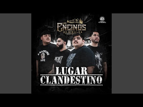 El Comando Del Ondeado