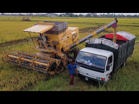 MESIN PADI 1545 GENG KMC MENGERAT PADI DI BAGAN TIANG,PERAK