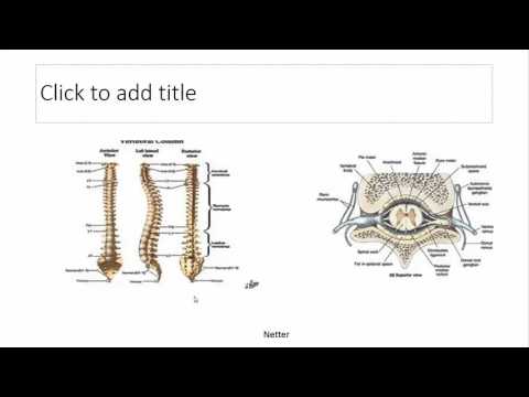 20160314 Intro to Acute Pain