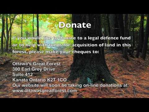 Beaver Pond Movie #2 - NEW