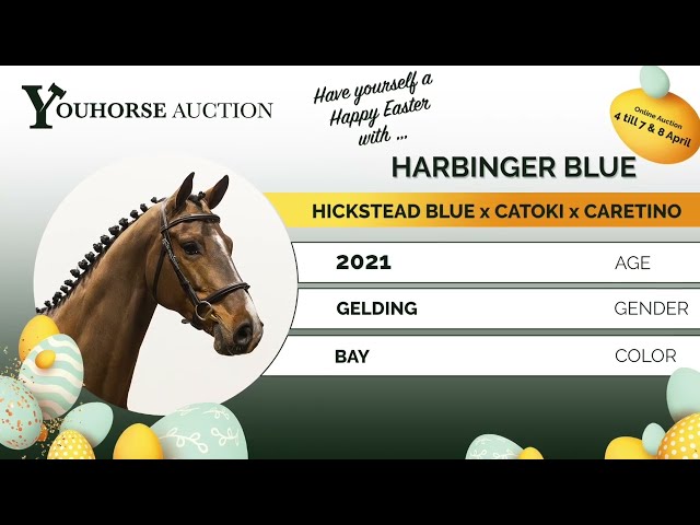 Harbinger Blue homevideo