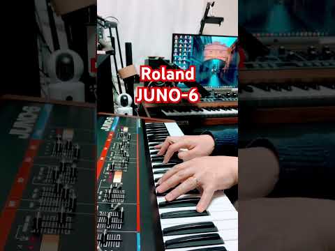 🎹 Roland JUNO-6 | Vintage Analog Polyphonic Synthesizer | Professionally Serviced & Fully Tested image 10