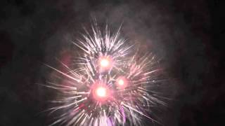 Life Of Pi 13: Death Of The Zebra