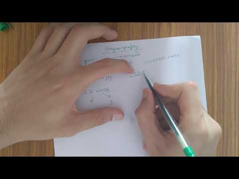 What is Steganography