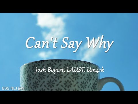 [Playlist]팝송추천#412 🎶Can't Say Why - Josh Bogert, LAUST, Um41k  (lyrics)