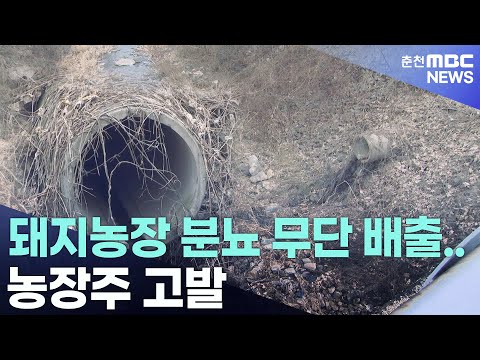 , title : '[제보는MBC] 홍천 돼지농장 분뇨 무단 배출..농장주 고발'