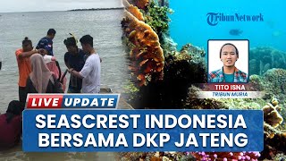 Upaya Lestarikan Alam Laut, Transplantasi Terumbu Karang Pulau Panjang Jepara Wujudkan Coral Garden