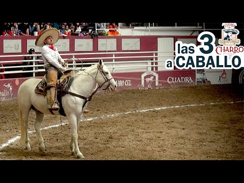 Jose Andres Aceves 2022 Congreso Zacatecas - 3 de 3 Manganas a Caballo