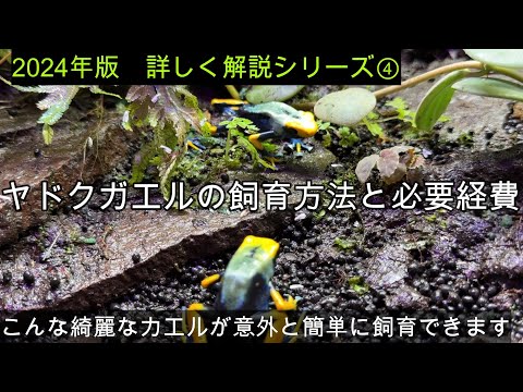 IUCN分類における絶滅の危険性を示す図。